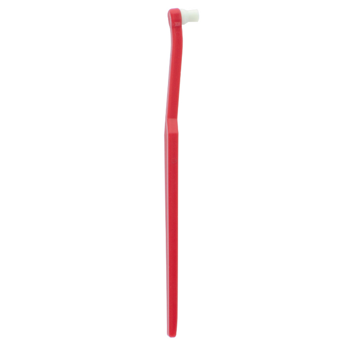 Disposable Prophy Stick
