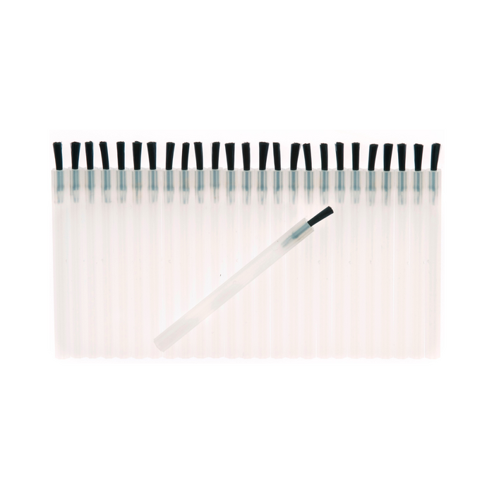 Disposable 2" Brushes