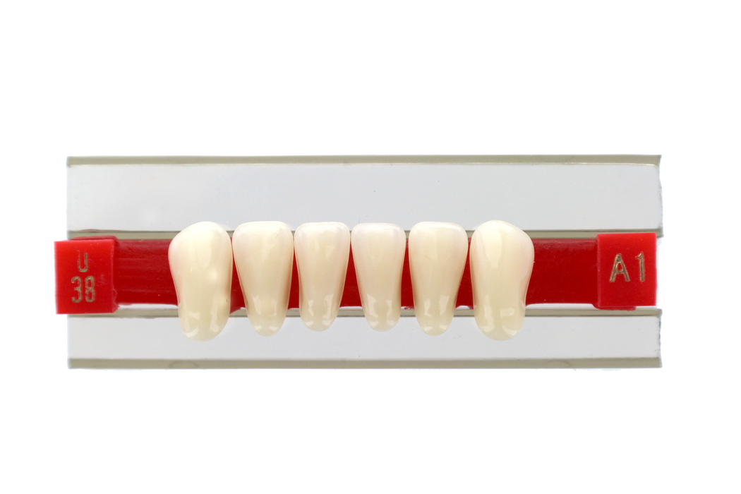 Pontic Kit