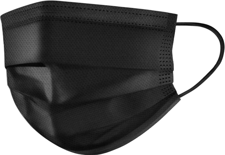 Level 2 Earloop Mask (50/Bag) - Black