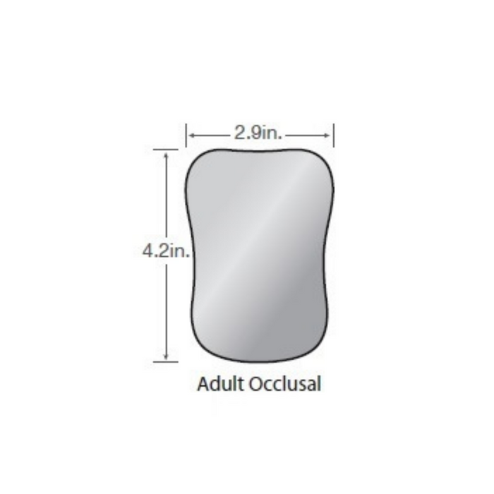 Glass Photo Mirror - Adult Occlusal